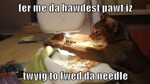 Da hawdest pawt - Lolcats - lol | cat memes | funny cats | funny cat ...