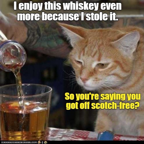 Drunkenly bad joke - Lolcats - lol | cat memes | funny cats | funny cat ...