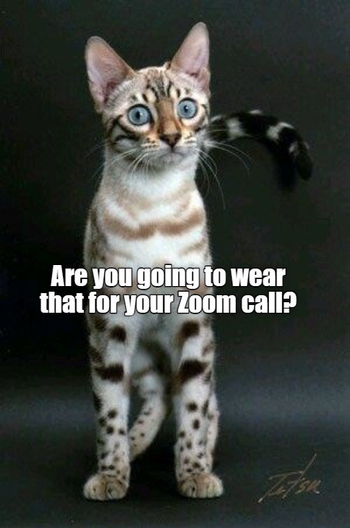 Zoom out-fit - Lolcats - lol | cat memes | funny cats | funny cat ...