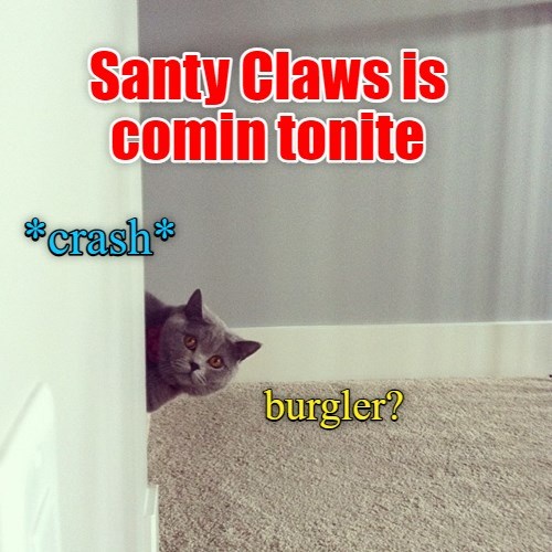 Santy Claws is comin tonite - Lolcats - lol | cat memes | funny cats ...