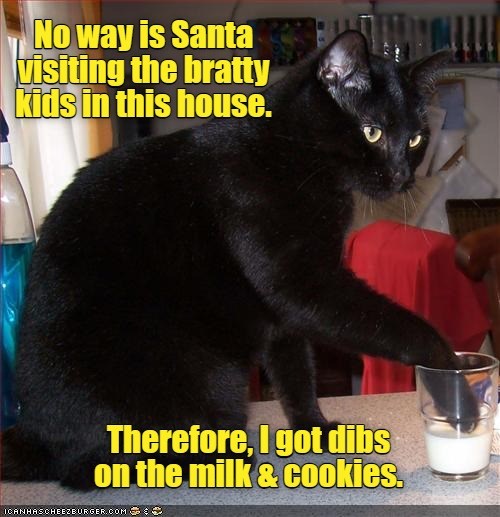 You're on the naughty list - Lolcats - lol | cat memes | funny cats | funny cat pictures with ...