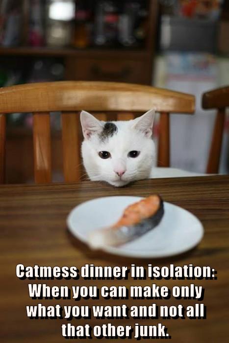 Catmess dinner in isolation: - Lolcats - lol | cat memes | funny cats ...