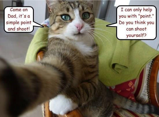 You might want to rephrase that - Lolcats - lol | cat memes | funny ...