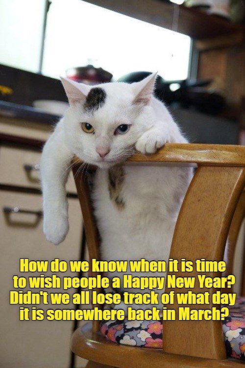 Happy New Year. Eventually. - Lolcats - lol | cat memes | funny cats ...