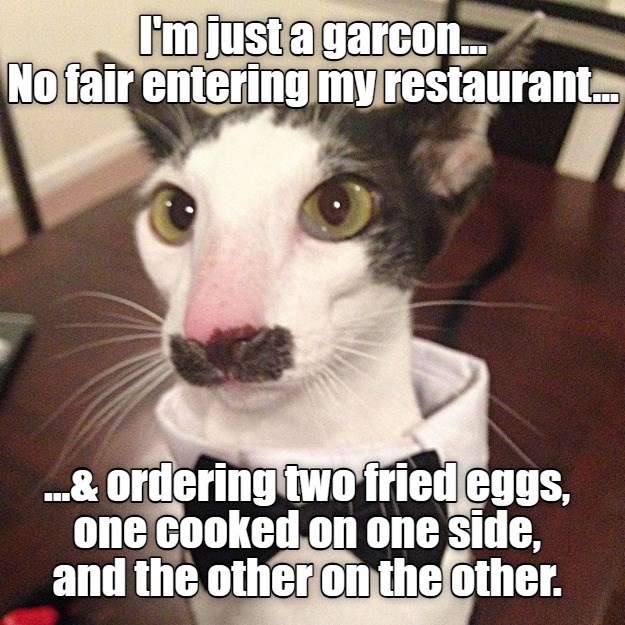 Not fair, I tell you! - Lolcats - lol | cat memes | funny cats | funny ...