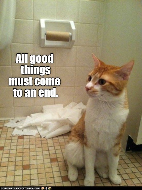 All good things must come to an end - Lolcats - lol | cat ...