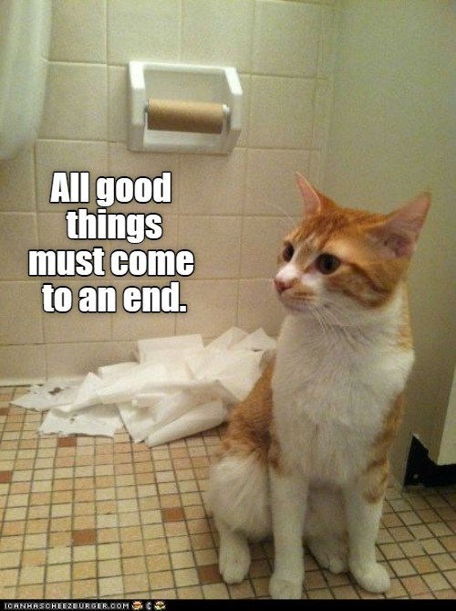 All good things must come to an end - Lolcats - lol | cat memes | funny cats | funny