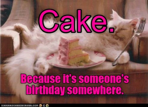 It's someone's birthday somewhere - Lolcats - lol | cat memes | funny ...