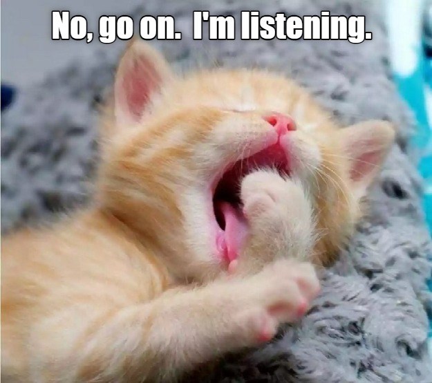 Listening - Lolcats - lol | cat memes | funny cats | funny cat pictures ...