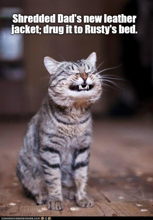 Muahahaha - Lolcats - lol, cat memes, funny cats