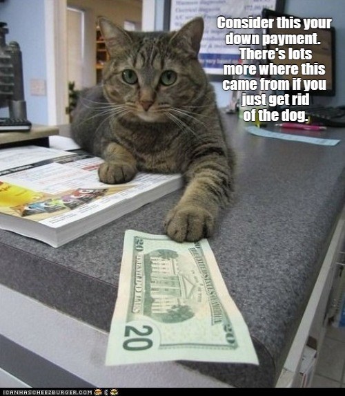 Down payment - I Can Has Cheezburger?