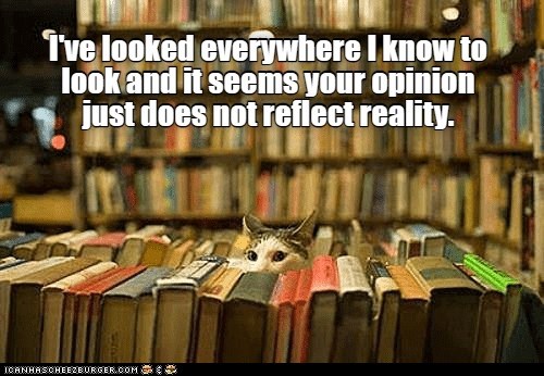 Reality check - Lolcats - lol | cat memes | funny cats | funny cat ...