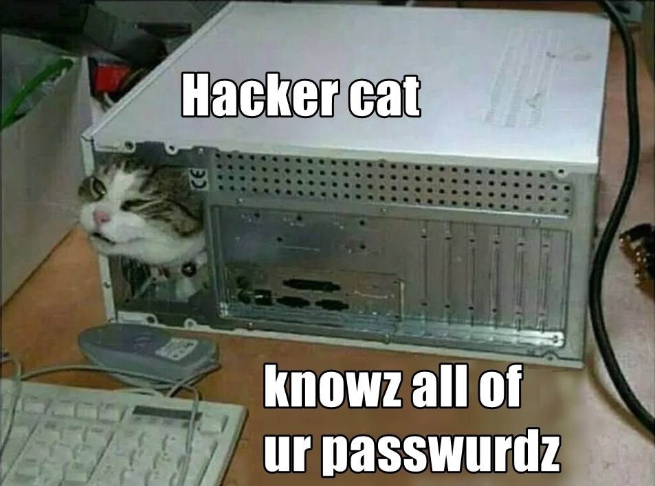 Hacker cat Lolcats lol cat memes funny cats funny cat