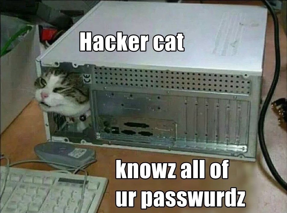 Hacker cat - Lolcats - lol | cat memes | funny cats | funny cat ...