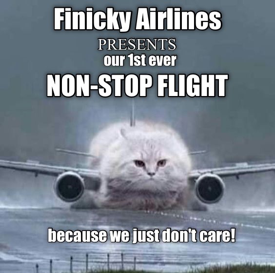 At Finicky Airlines, your pleasure is your own responsibility ...