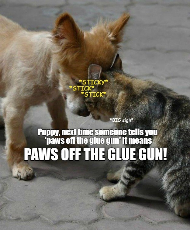 Paws off the glue gun Lolcats lol cat memes funny cats funny