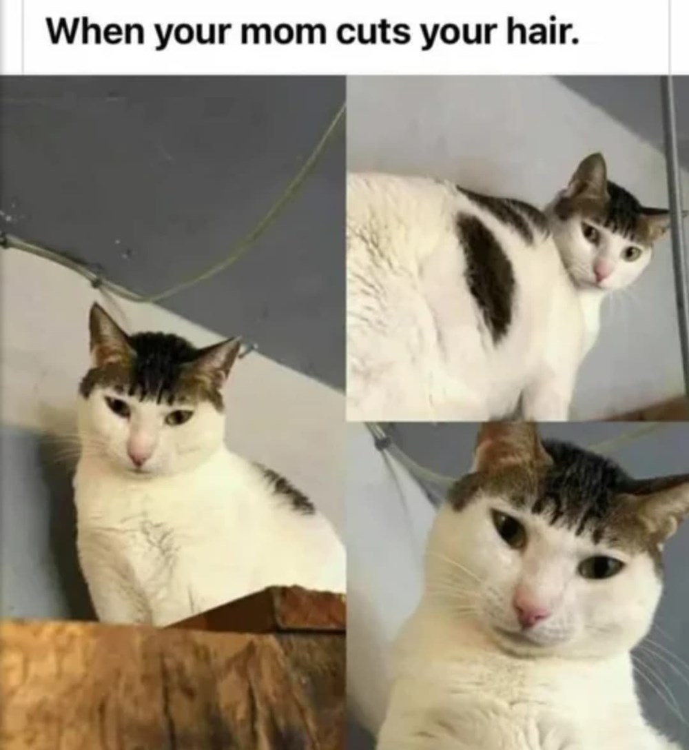 Every Kid Had This Haircut - Memebase - Funny Memes