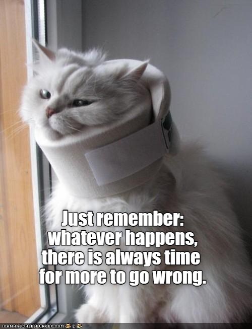 Words of encouragement - Lolcats - lol | cat memes | funny cats | funny ...