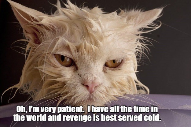 Cold - Lolcats - lol | cat memes | funny cats | funny cat pictures with ...