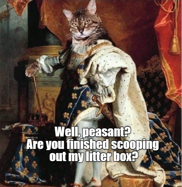 Well, peasant? - Lolcats - lol | cat memes | funny cats | funny cat ...