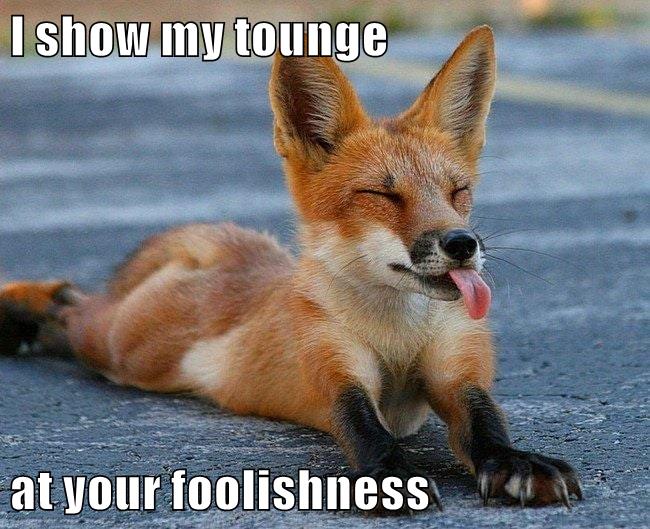 I show my tounge at your foolishness - Animal Comedy - Animal Comedy ...