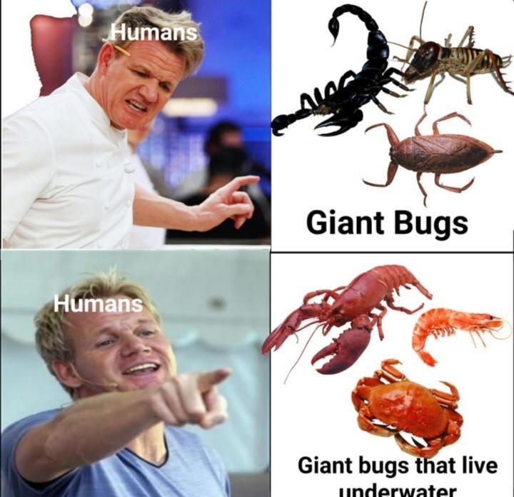 Bugs Are Just Landfood - Memebase - Funny Memes
