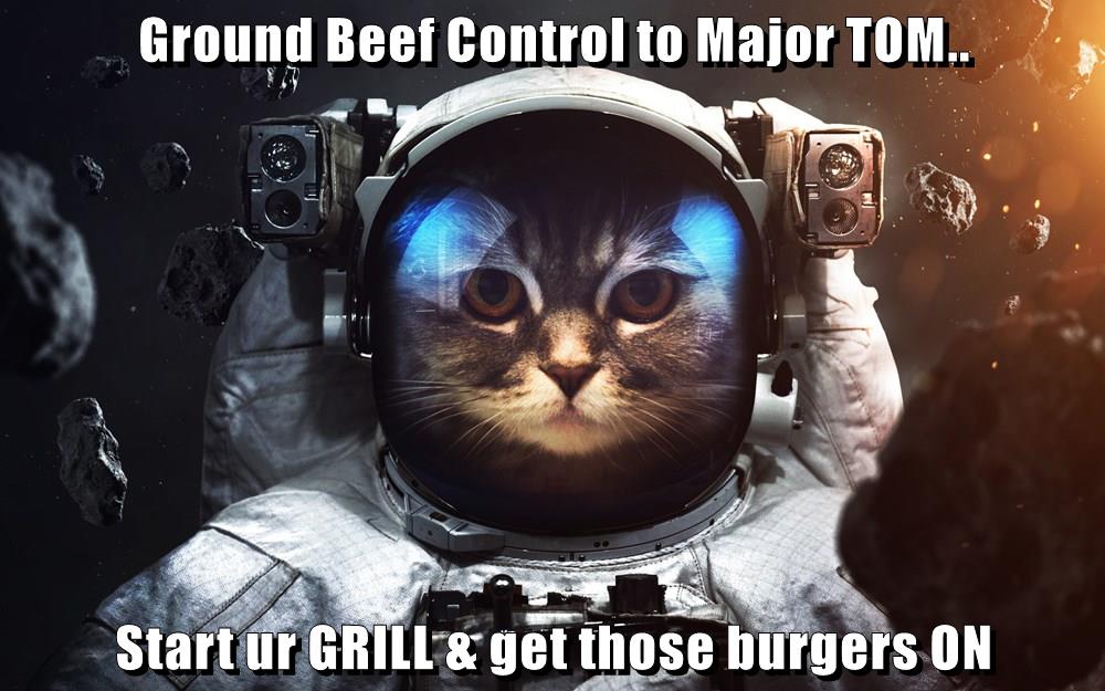 Ground Beef Control to Major TOM.. - Lolcats - lol | cat memes | funny ...