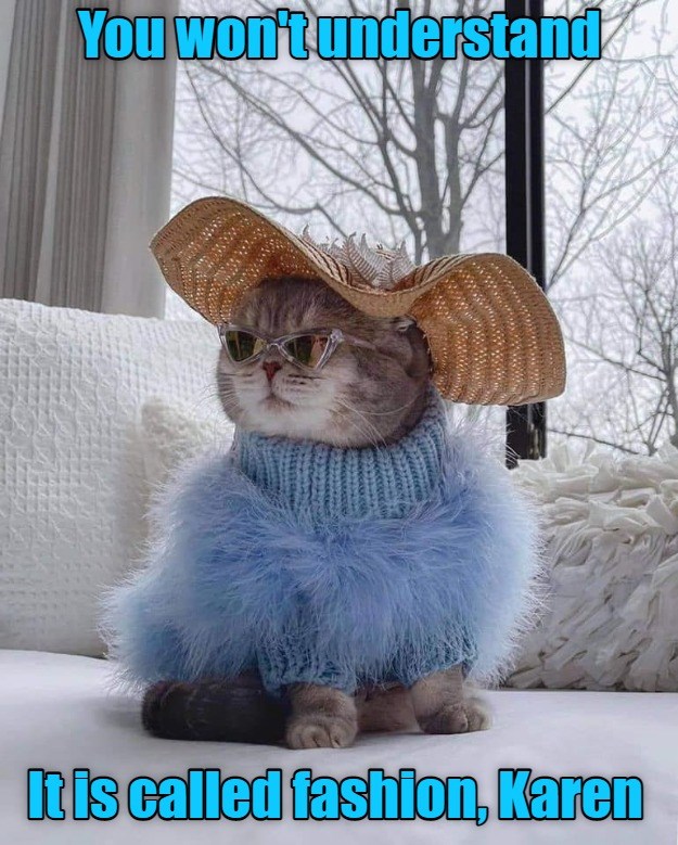 cheezburger-image-9606586112