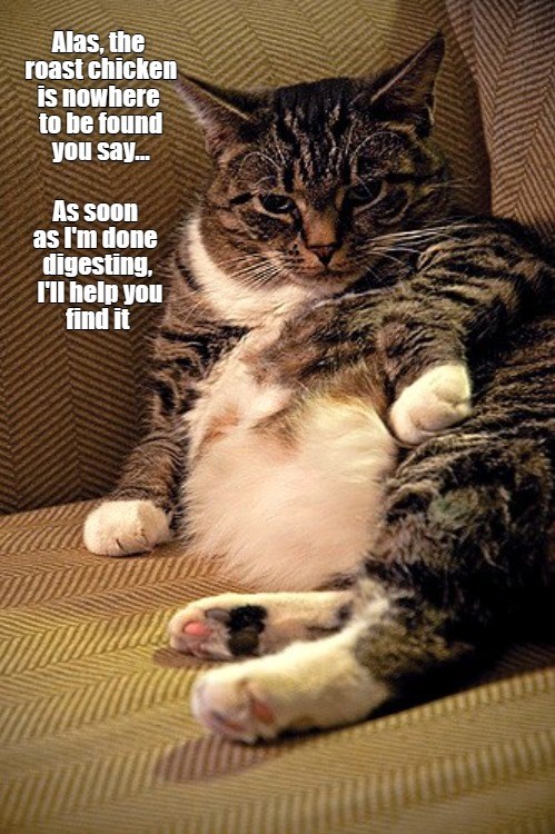 Let Me Nap First - Lolcats - lol | cat memes | funny cats | funny cat ...