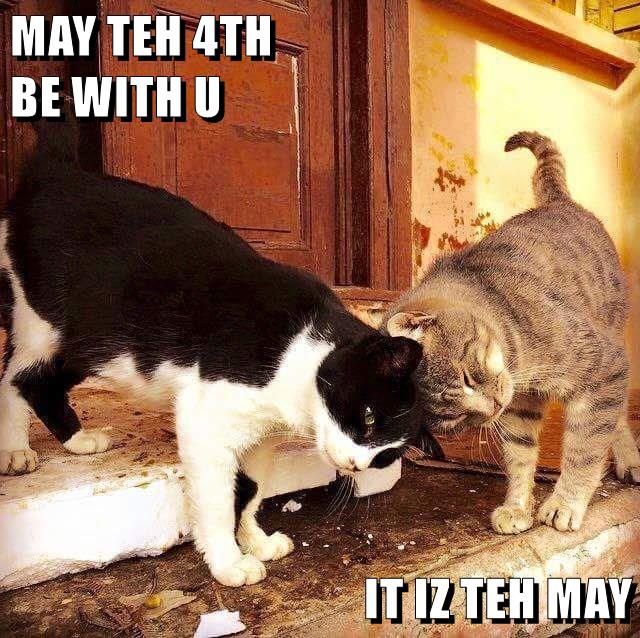 MAY TEH 4TH - Lolcats - lol | cat memes | funny cats | funny cat ...