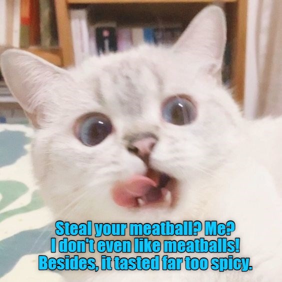 Steal your meatball? Me? - Lolcats - lol | cat memes | funny cats ...