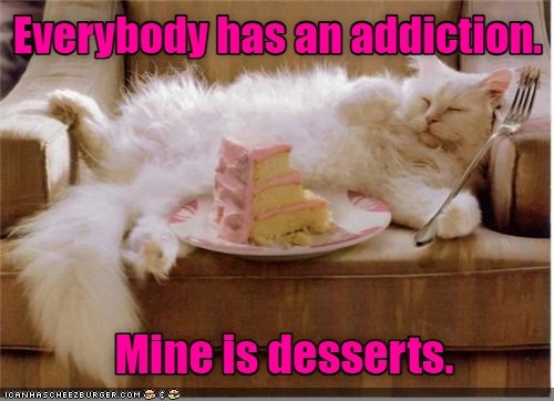 Sugar High - Lolcats - lol | cat memes | funny cats | funny cat ...