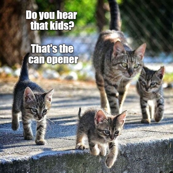 Did I hear the sound of a can opener?