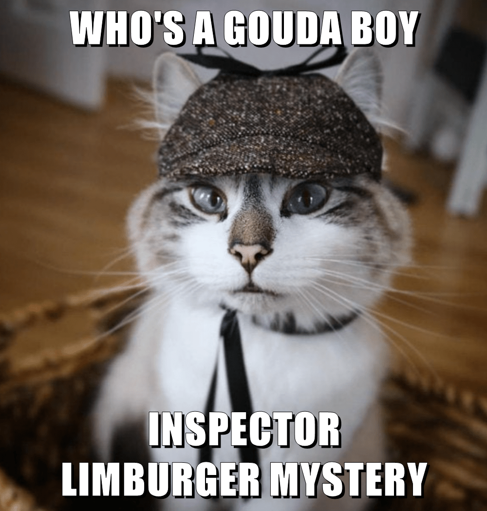 WHO'S A GOUDA BOY INSPECTOR - Lolcats - lol | cat memes | funny cats ...