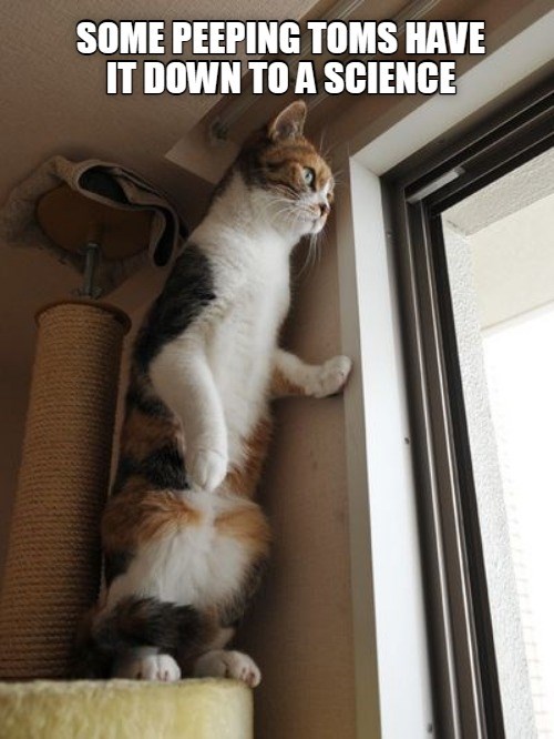 Science - Lolcats - lol | cat memes | funny cats | funny cat pictures with  words on them | funny pictures | lol cat memes | lol cats
