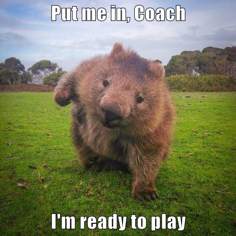 Put Me In Coach Im Ready To Play