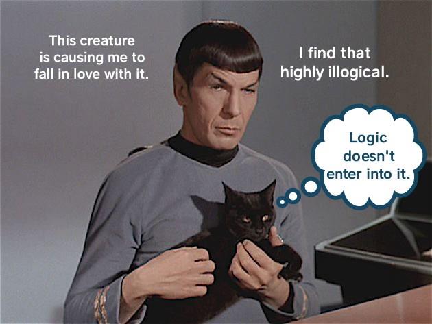 Spock gets PAWned - Lolcats - lol | cat memes | funny cats | funny cat ...