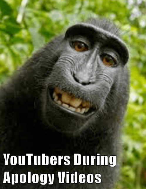 YouTubers During Apology Videos - Animal Comedy - Animal Comedy, Funny ...