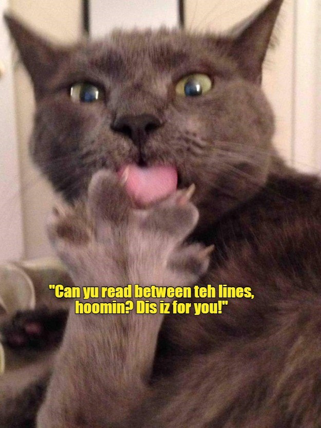 Robert always tended to be a tad disrespectful to his human.. - Lolcats ...