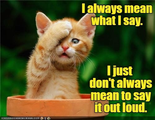 Open mouth, insert foot. - Lolcats - lol | cat memes | funny cats ...