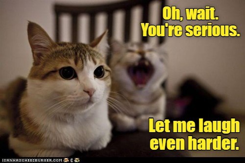 Everyone's a critic - Lolcats - lol | cat memes | funny cats | funny ...