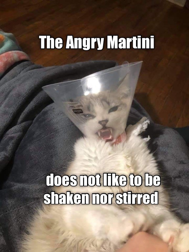 And don't add olives or onions either! Lolcats lol cat memes