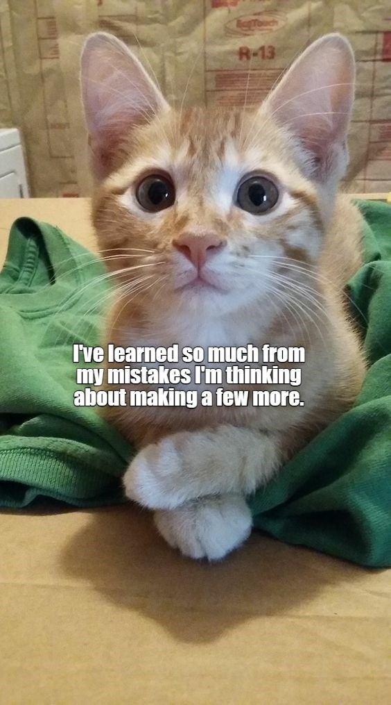 The more you learn - Lolcats - lol | cat memes | funny cats | funny cat ...