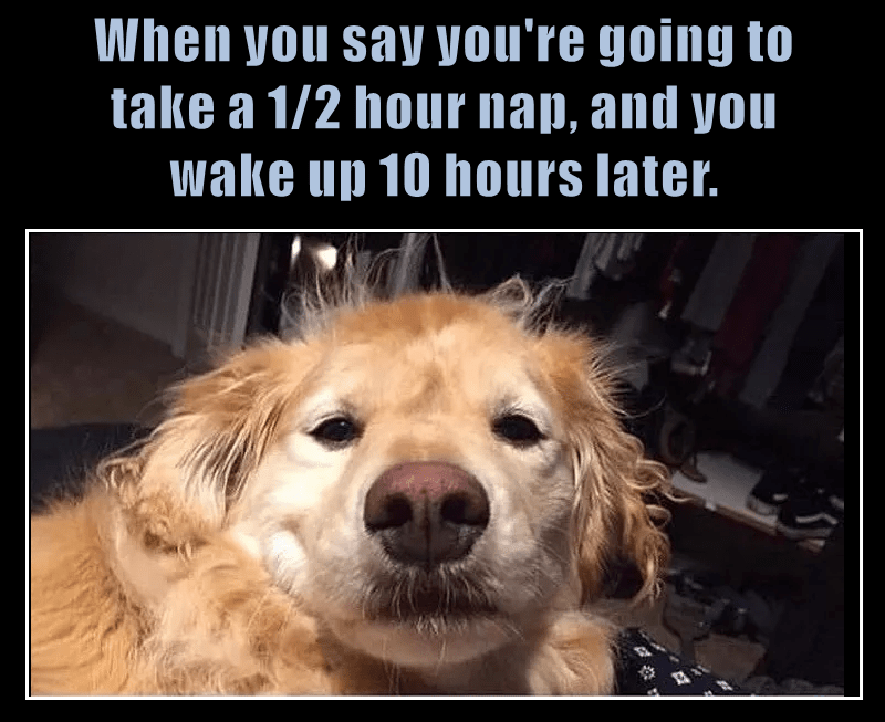 Wake Up 10 Hours