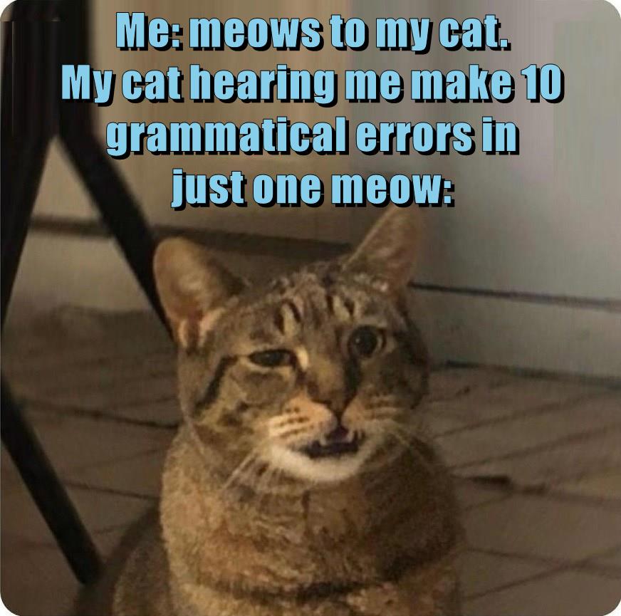 Grameow lessons - Lolcats - lol | cat memes | funny cats | funny cat ...