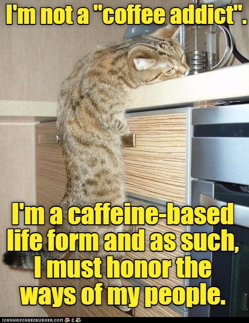 Watch those generalities you hurl around - Lolcats - lol | cat memes ...