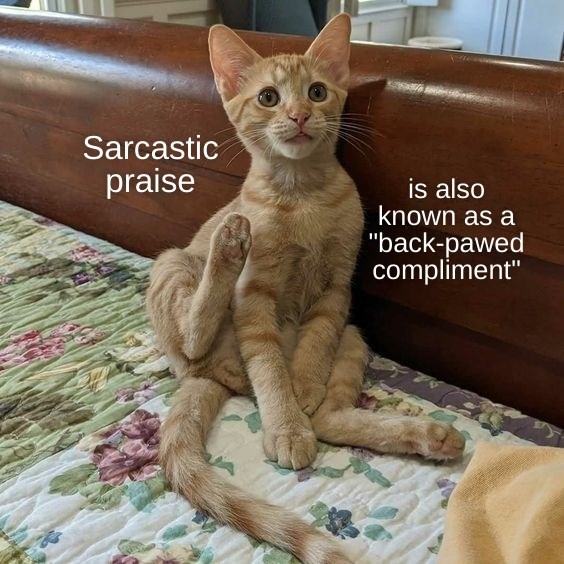 Damning With Faint Praise Lolcats Lol Cat Memes Funny Cats Funny Cat Pictures With 