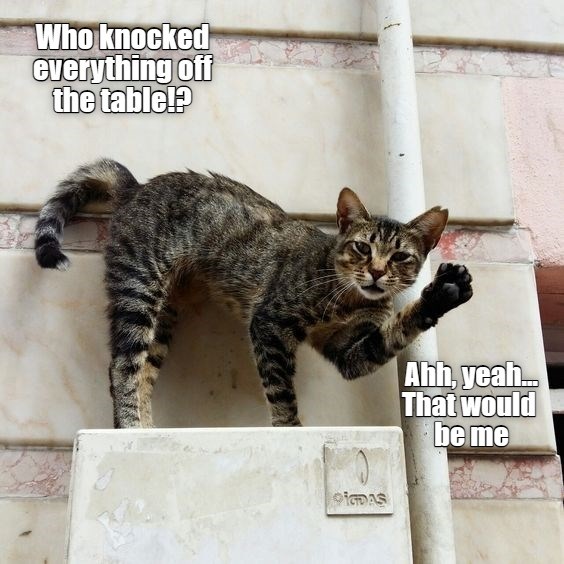 Why, Is There A Problem - Lolcats - lol | cat memes | funny cats ...
