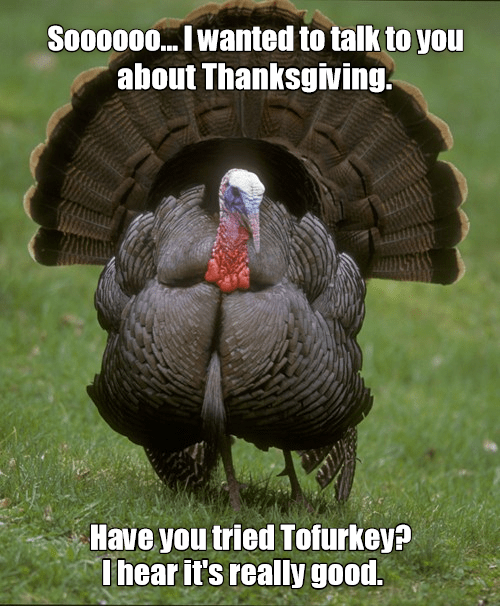 yall I heard tofurkey is heckin deliciousss - Smile and Happy