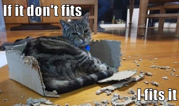 If it don't fits I fits it - Lolcats - lol | cat memes | funny cats ...